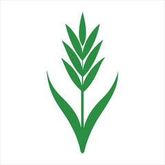 Fototapeta premium green plant isolated on white