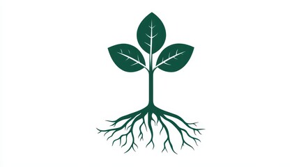 minimalist line art icon of a plant with three leaves above ground and branching roots below ground, split view