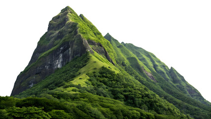 Lush Green Mountain Peaks and Valleys Transparent Background