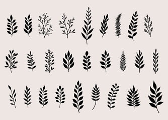 Vector illustration. Twigs leaves plants set