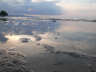Reflective Wet Beach at Dusk