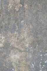 Minimalist Gray Wall Background. Neutral Monochrome Texture Perfect for Graphic Design, Product Mockups, and Modern Visual Projects. Abstract Gray Wall Surface. Subtle and Clean Backdrop for Layouts