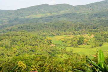 Fototapeta premium Aerial view of a picturesque rural landscape at sunset with vibrant green fields, a small village, and a winding road.