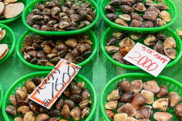 Various types of clams displayed in green plastic trays at a Japanese seafood market with handwritten price signs and visible shell textures