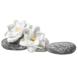 Fotobehang Elegant white blossoms on smooth stones against a stark black background © ahmad musiyam