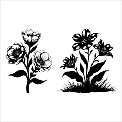 Big floral collections of black silhouettes of meadow herbs, floral backgrounds and wreaths. Wildflowers. Wild grass. Floral elements for your design. Vector illustration, Black silhouette of flowers