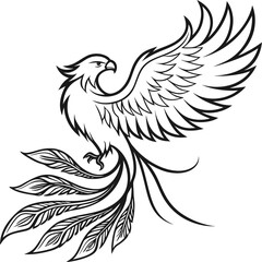 Eagle or bird vector illustration for tattoo designs featuring wings, feathers, and a wild, flying nature