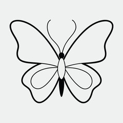 butterfly vector illustration