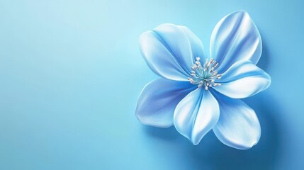 Fototapeta premium artistic blue blossom isolated on blue background, soft lighting, clean composition