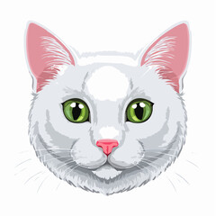 Fototapeta premium vector illustration of a cat