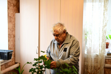 An elderly man takes care of house plants