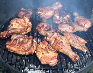 Juicy barbecue meat on the grill, close view, summer barbecue bliss background