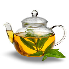 Tea Ritual: A transparent glass teapot gracefully presents a soothing herbal tea, its clear form revealing the delicate green tea leaves, inviting a moment of calm and refreshment.