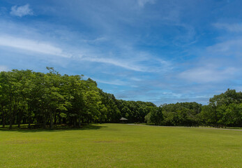 北総花の丘公園　緑の芝生と広い公園