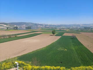 Fototapeta premium aerial view of a field