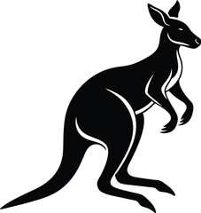 kangaroo vector illustration