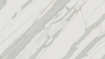 Obraz premium Full-frame 2D slab of Thassos White mixed with linear veins from Marmara marble.
