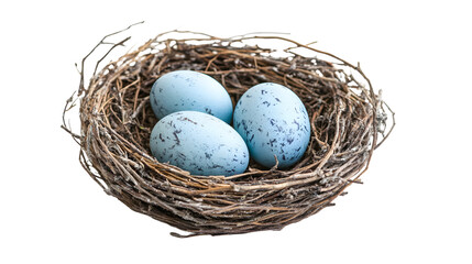 Obraz premium Realistic Bird Nest with Three Blue Eggs Isolated on Transparent Background