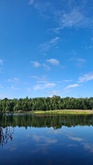 Tranquil lake scene with clear blue water, green reeds, and a lush forest under a bright sky. Perfect nature landscape for relaxation, travel, or outdoor themes.	
