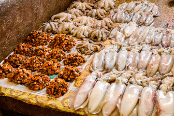 Raw calamari and octopuses for sale at the fish market