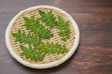山椒の葉・木の芽