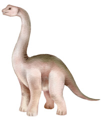 Watercolor artwork of a brontosaurus variant on white background. Gentle long neck dinosaur design perfect for childrens decor educational print or gift tag design © Evgeniia