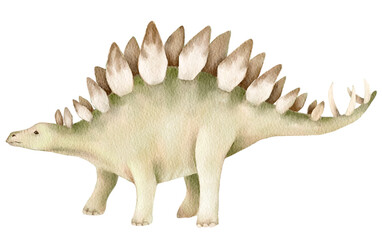 Watercolor painting of a stegosaurus on white background. Playful prehistoric reptile design perfect for childrens wall decor educational print or fabric pattern for kids.