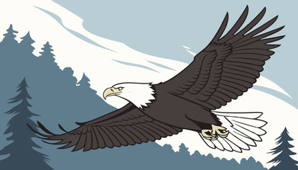 bald eagle in flight