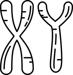 uline-chromosomes illustration on a white background    