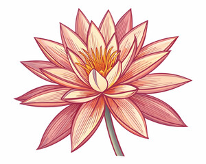 Fototapeta premium Create a bold, vector illustration of a single, fantastical flower with thick, striking outlines. Include intricate details and vibrant color.