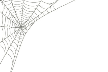 Spider web covering corner on transparent background for halloween decoration