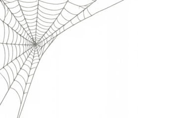 Spider web covering corner on transparent background for halloween decoration