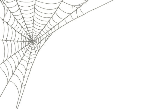 Spider web covering corner on transparent background for halloween decoration