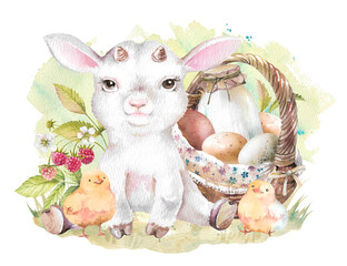 White goat, chickens, basket of eggs and bottle of milk, raspberries on green lawn with brush strokes hand drawn watercolor illustration isolated on white. Clipart for Easter, children, farm design