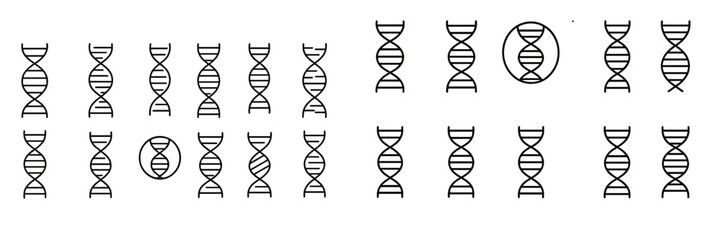 Illustration of various DNA double helix structures displayed in a clear and organized manner for educational purposes
