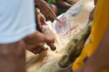 Medium cuts of beef, the best quality fire meat for steaks