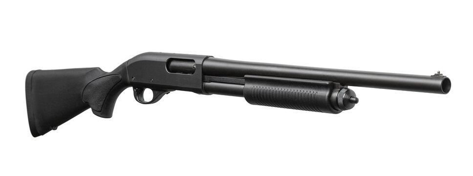 Standard black 12-gauge shotgun