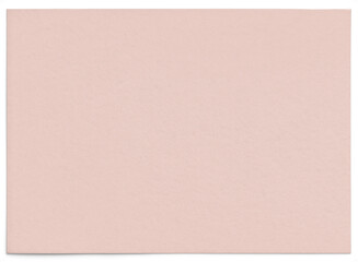 Fototapeta premium Blush and Earthy Toned 5x7 Card Mockup with Natural Aesthetic and Elegant Design