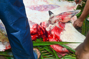 Medium cuts of beef, the best quality fire meat for steaks