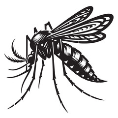 Obraz premium Mosquito vector illustration