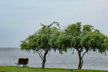 beautiful place for rest with trees and bench on the river bank on a summer day