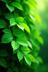 Dense foliage of green leaves forming a lush canopy, botanical, greenery, plant life