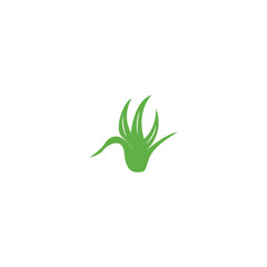 aloe vera green leaf logo and vector template
