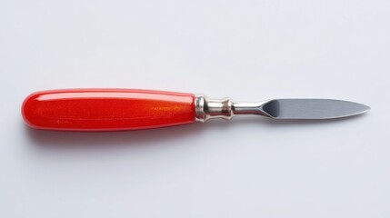 Obraz premium Oil Painting Palette Knife with Red Handle
