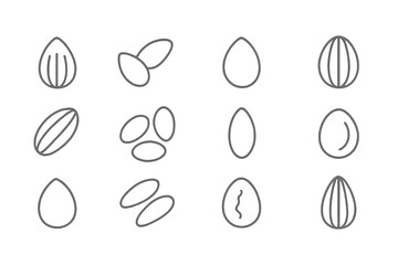 Variety of outlined seeds arranged in a grid pattern suitable for botanical studies or educational uses
