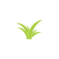 Obraz premium aloe vera green leaf logo and vector template