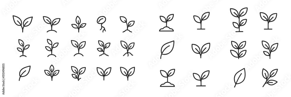 Poster collection of simple leaf icons illustrating different stages of growth in a minimalist style