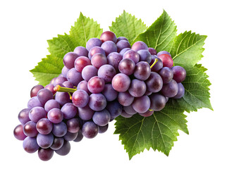 Fototapeta premium Beautiful and appetizing purple grape cluster with fresh green leaves isolated Transparent PNG