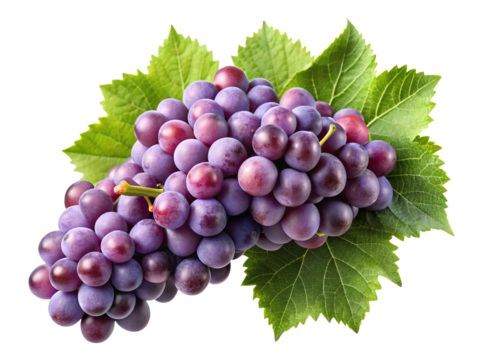 Beautiful and appetizing purple grape cluster with fresh green leaves isolated Transparent PNG
