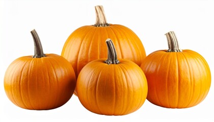 Pumpkins  for Autumn and Halloween Designs